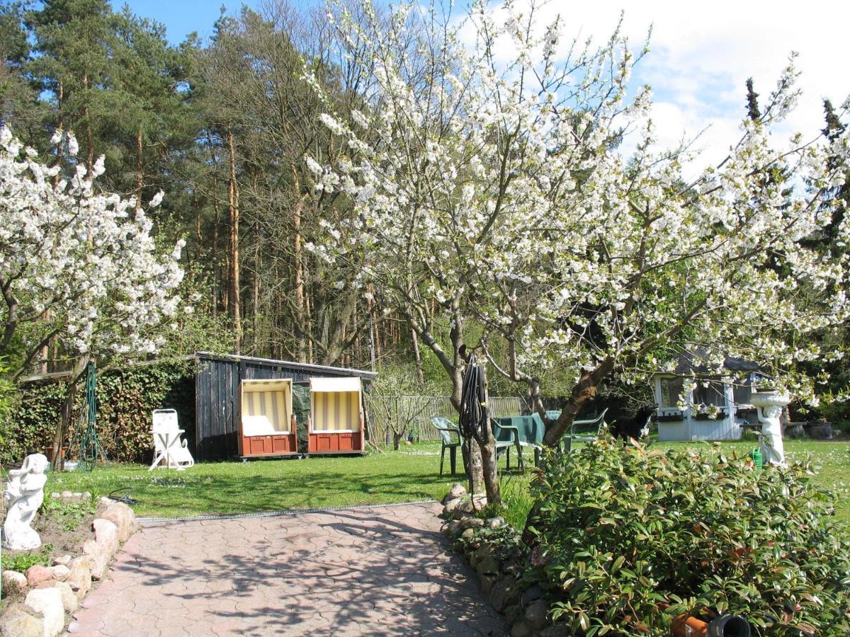 Uni - Luebeck Appartement Groß Grönau 外观 照片